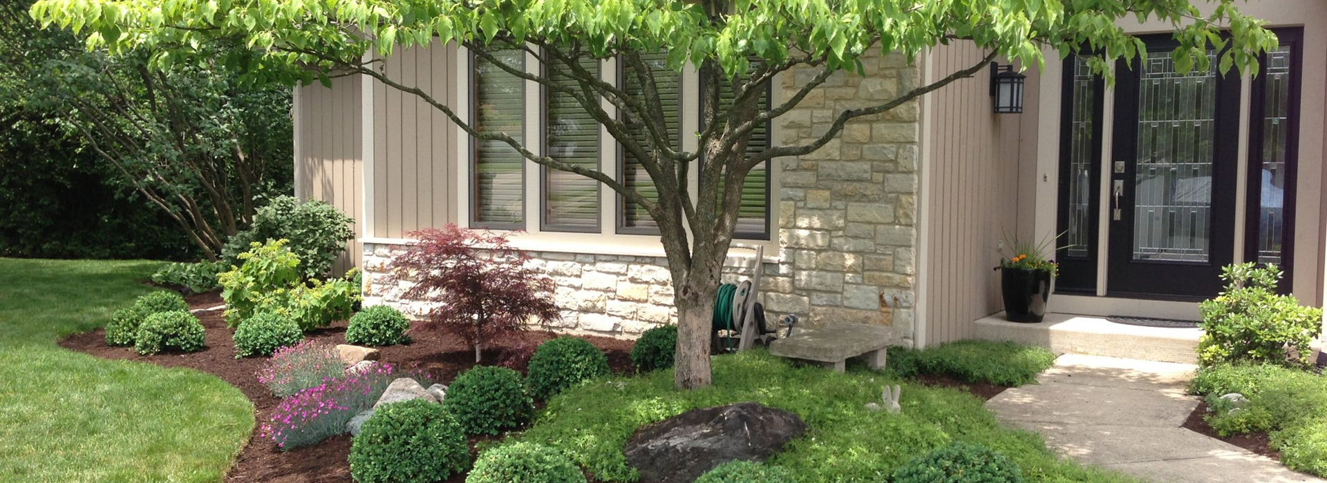 Front view of a house with landscaping and tree